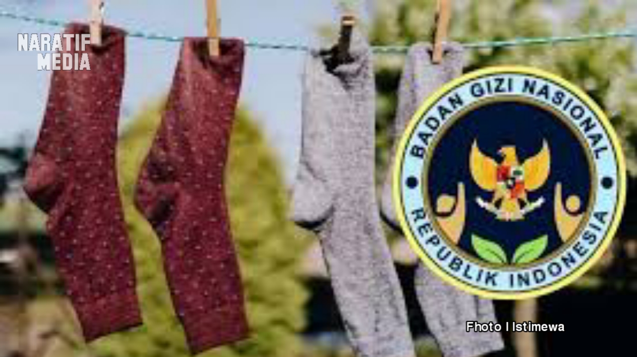 Anggaran kaos kaki BGN sebesar Rp6,9 miliar (Naratifmedia/Istimewa)