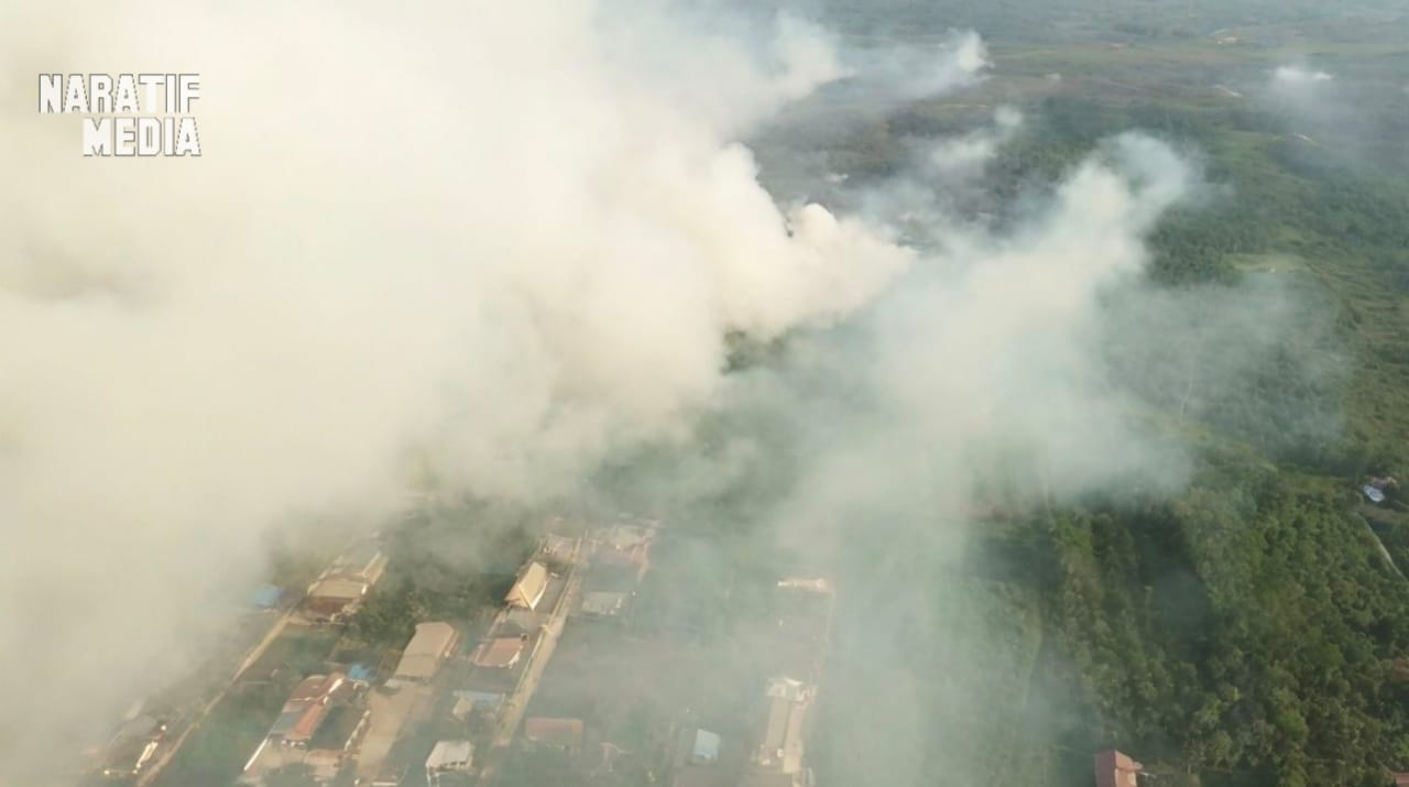 Pembakaran Lahan Terekam CCTV di Belitung Timur, Tiga Lokasi Terbakar